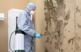 Best Mold Odor Removal Services  in Sumiton, AL